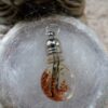 Médaillon pendentif talisman amulette magie